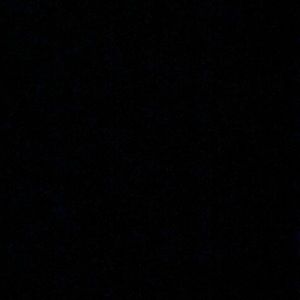 Meet your Posher, Bianca